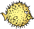 OpenBSD Puffy Fish Logo.